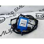 Проводка двери BMW M3 Competition M xDrive 2022 G80 S58B30A Задн.
