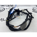 Проводка двери BMW M3 Competition M xDrive 2022 G80 S58B30A Задн.