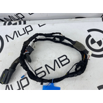 Проводка двери BMW M3 Competition M xDrive 2022 G80 S58B30A Задн.