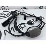 Проводка двери BMW X5 xDrive45e xLine 2022 G05 B58B30C Задн.