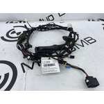 Проводка двери BMW X3 xDrive20d 2019 G01 B47D20B Задн.