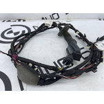 Проводка двери BMW X3 xDrive20d 2019 G01 B47D20B Задн.