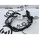 Проводка двери BMW X3 xDrive20d 2019 G01 B47D20B Задн.