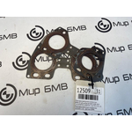 Прокладка выпускного коллектора BMW X3 xDrive20d 2019 G01 B47D20B