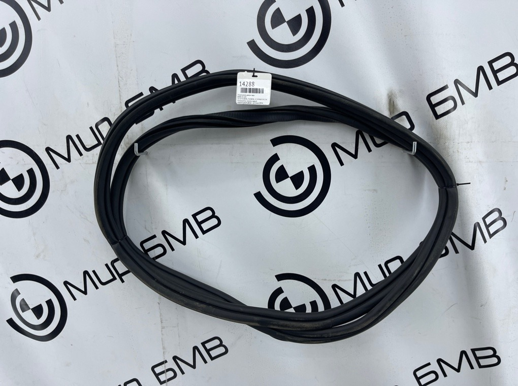 Уплотнитель двери BMW X5 G05 Задн.