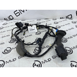 Проводка двери BMW X5 xDrive30d xLine 2020 G05 B57D30B Задн.