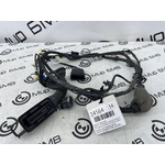 Проводка двери BMW X5 xDrive30d xLine 2020 G05 B57D30B Задн.