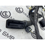 Проводка двери BMW X5 xDrive30d xLine 2020 G05 B57D30B Задн.