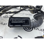 Проводка двери BMW X5 xDrive30d xLine 2020 G05 B57D30B Перед.