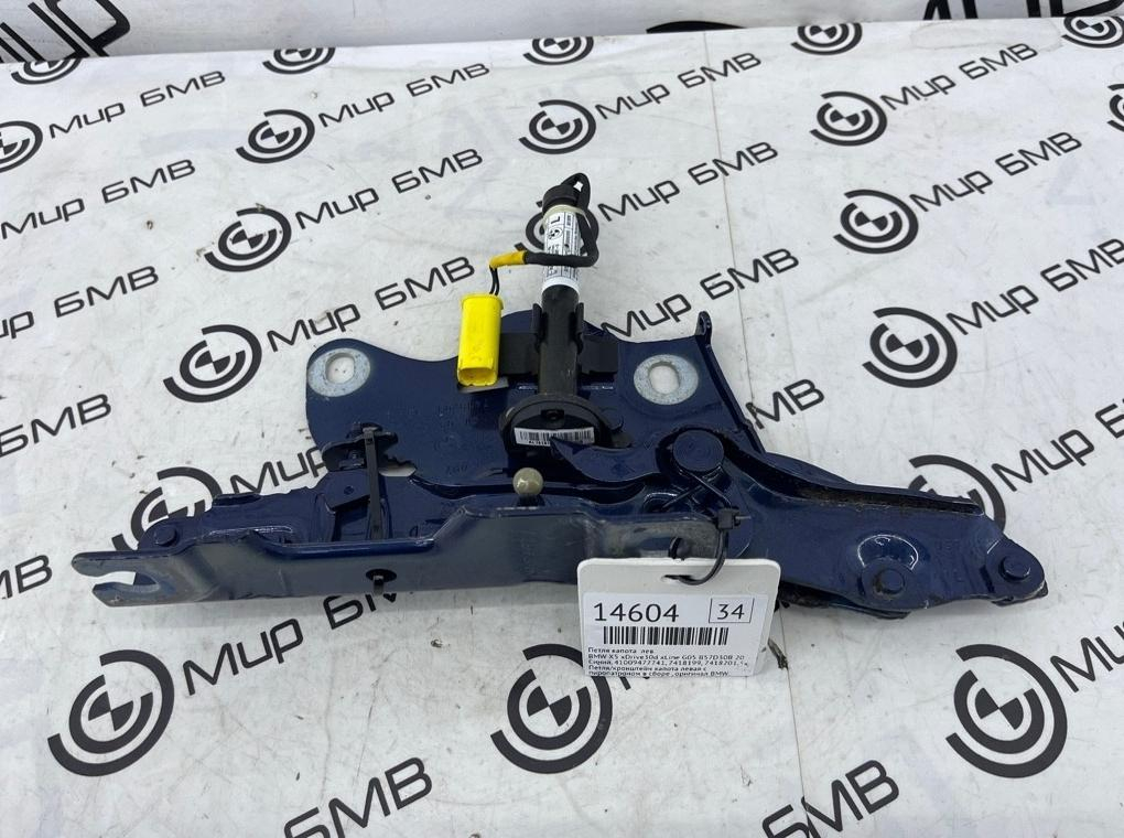 Петля капота BMW X5 xDrive30d xLine 2020 G05 B57D30B Лев.