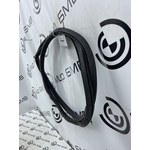 Уплотнитель проема двери BMW X6 xDrive30d 2020 G06 B57D30A Задн.