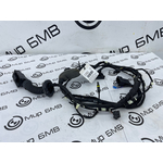 Проводка двери BMW X6 xDrive30d 2020 G06 B57D30A Перед. Прав.