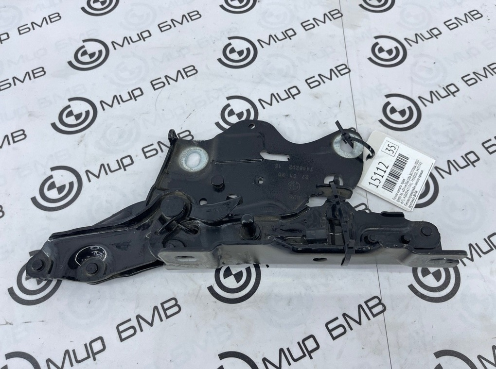 Петля капота BMW X6 xDrive30d 2020 G06 B57D30A Прав.