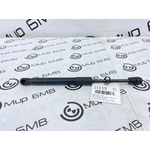 Амортизатор капота BMW X6 xDrive30d 2020 G06 B57D30A