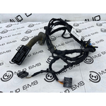 Проводка двери BMW 330e Saloon 2019 G20 B48B20B Перед.