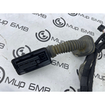 Проводка двери BMW 330e Saloon 2019 G20 B48B20B Перед.