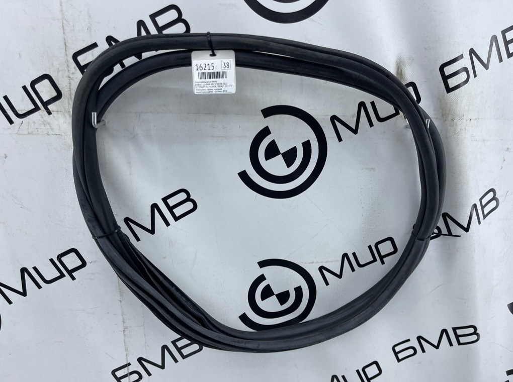 Уплотнитель двери BMW X3 LCI M40i 2022 G01 B58B30B Перед.