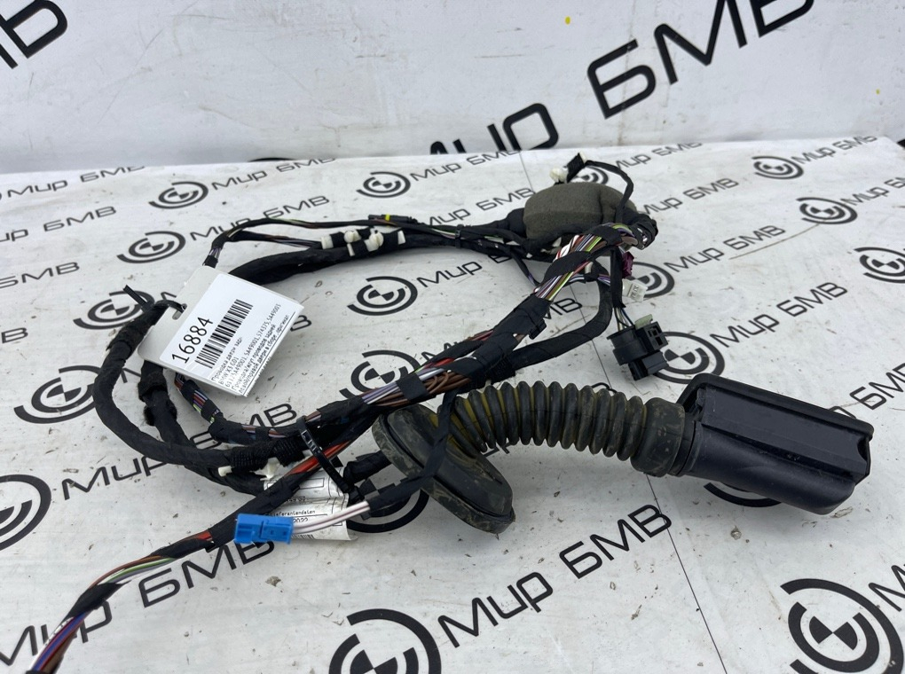 Проводка двери BMW X3 G01 Задн.