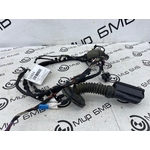 Проводка двери BMW X3 G01 Задн.