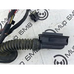 Проводка двери BMW X3 G01 Задн.