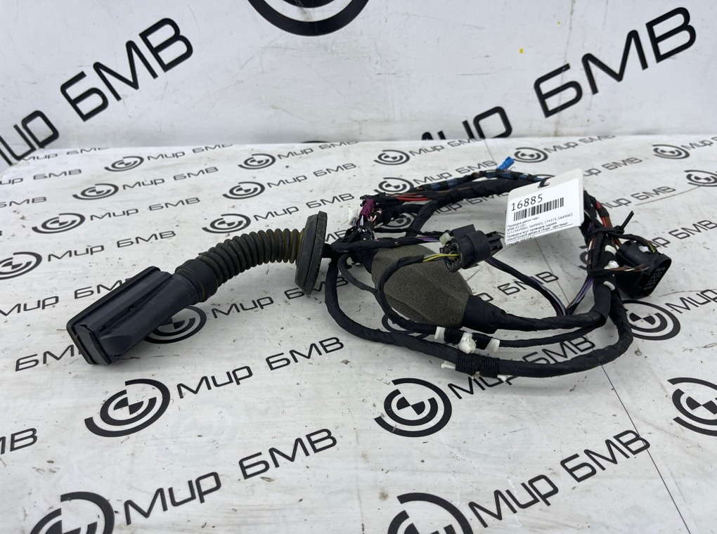 Проводка двери BMW X3 G01 Задн.