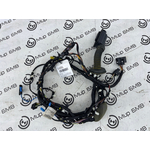 Проводка двери BMW X3 G01 Перед.