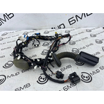 Проводка двери BMW X3 G01 Перед.