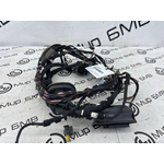 Проводка двери BMW X3 G01 Перед.