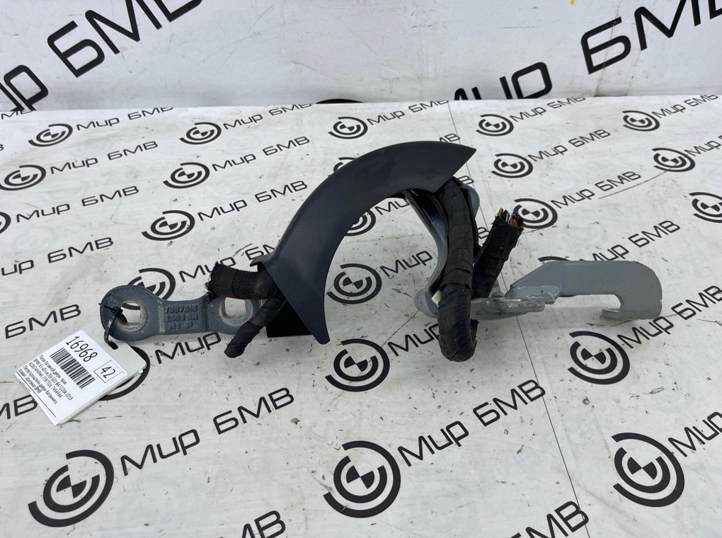 Петля багажной двери BMW X3 xDrive20d 2018 G01 B47D20A Прав.