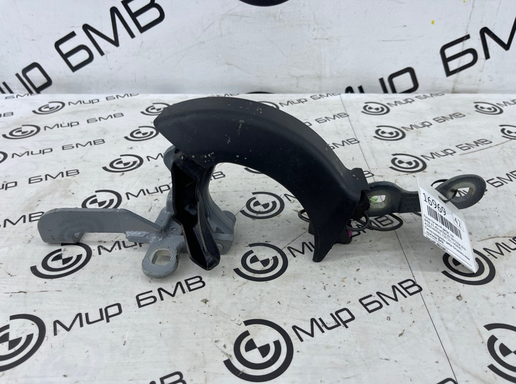 Петля багажной двери BMW X3 xDrive20d 2018 G01 B47D20A Лев.