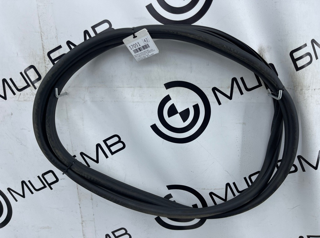 Уплотнитель двери BMW X3 xDrive20d 2018 G01 B47D20A Задн.