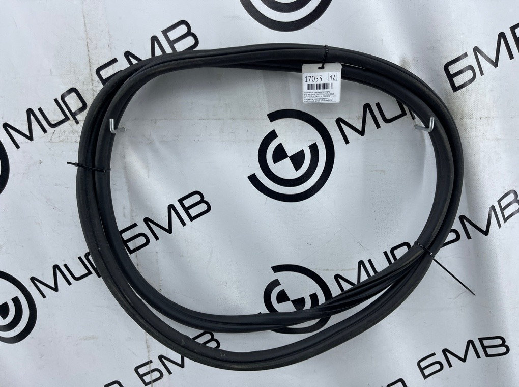 Уплотнитель двери BMW X3 xDrive20d 2018 G01 B47D20A Перед.