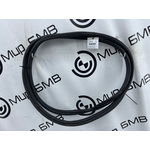 Уплотнитель двери BMW X3 xDrive20d 2018 G01 B47D20A Перед.