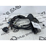 Проводка двери BMW X3 xDrive20d 2018 G01 B47D20A Задн.