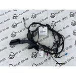 Проводка двери BMW X3 xDrive20d 2018 G01 B47D20A Задн.