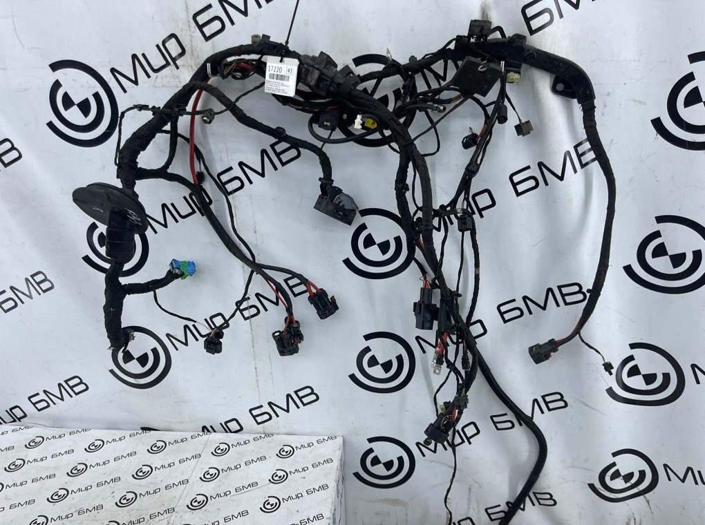 Проводка кузова BMW X5 xDrive50e 2024 G05 B58B30S Перед. Прав.