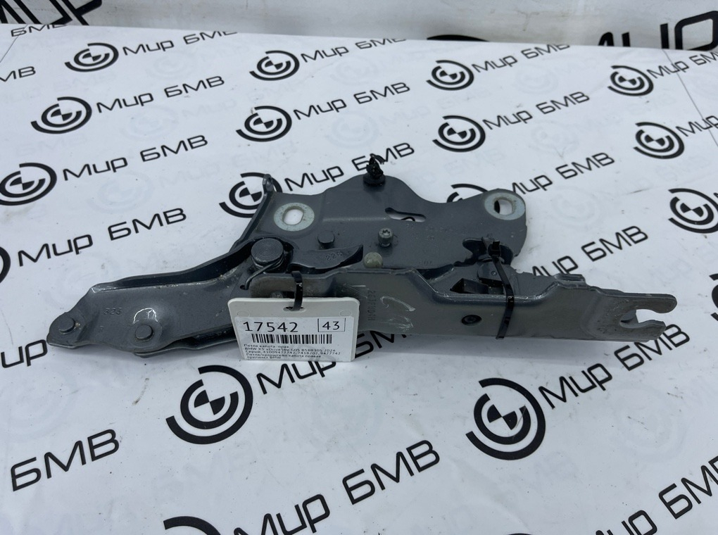 Петля капота BMW X5 xDrive50e 2024 G05 B58B30S Прав.