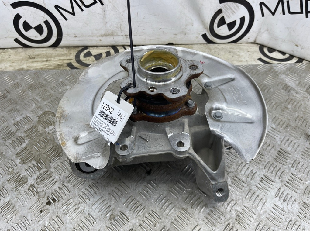 Кулак поворотный BMW X5 xDrive30d LCI 2023 G05 B57D30B Задн. Прав.