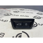 Кнопка замка багажной двери BMW X6 xDrive30i M Sport LCI 2023 G06 B48B20S