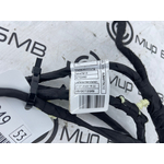 Проводка двери BMW X7 xDrive40i LCI 2023 G07 B58B30P Задн.