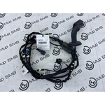 Проводка двери BMW X7 xDrive40i LCI 2023 G07 B58B30P Задн.