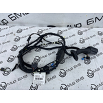 Проводка двери BMW X7 xDrive40i LCI 2023 G07 B58B30P Перед. Лев.