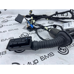 Проводка двери BMW X7 xDrive40i LCI 2023 G07 B58B30P Перед. Прав.