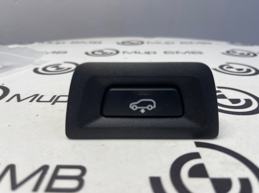 Кнопка пневмоподвески BMW X6 xDrive30i M Sport LCI 2023 G06 B48B20S