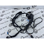 Проводка двери BMW X7 xDrive40i LCI 2023 G07 B58B30P Перед. Лев.