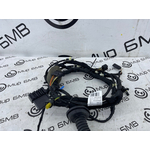 Проводка двери BMW X7 xDrive40i LCI 2023 G07 B58B30P Перед. Прав.