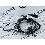 Проводка двери BMW X3 M LCI 2023 F97 S58B30A Задн.