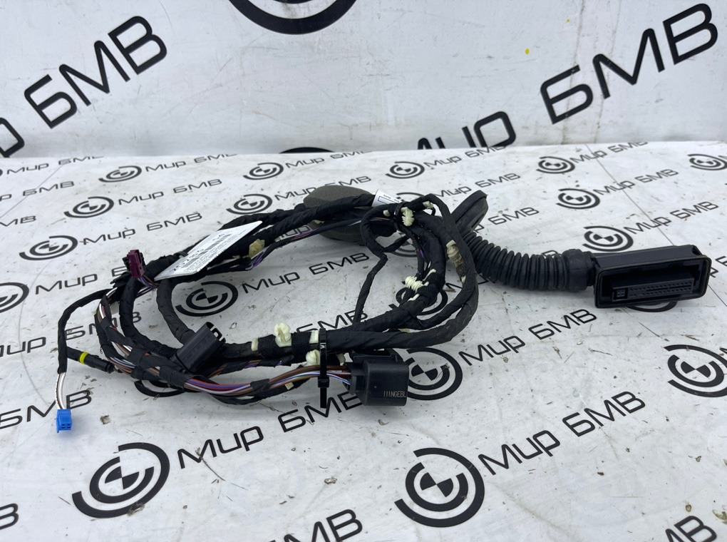 Проводка двери BMW X3 M LCI 2023 F97 S58B30A Задн.