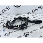 Проводка двери BMW X3 M LCI 2023 F97 S58B30A Задн.