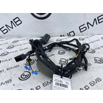 Проводка двери BMW X5 xDrive30d LCI 2023 G05 B57D30B Перед. Прав.